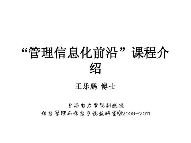 化前沿 绍 王乐鹏 博士 上海电力学院副教授 信息管理与信息系统教研